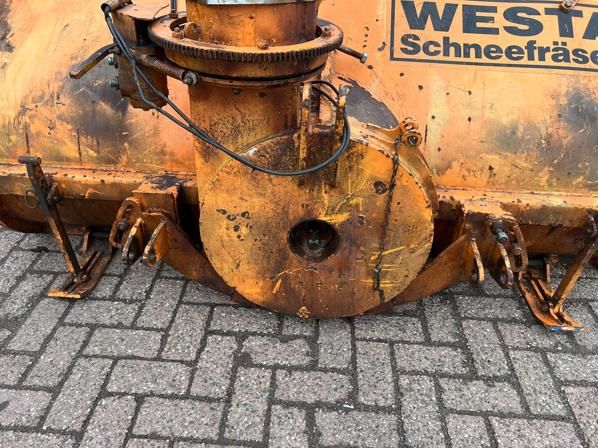 westa sneeuwfrees - Afbeelding 4